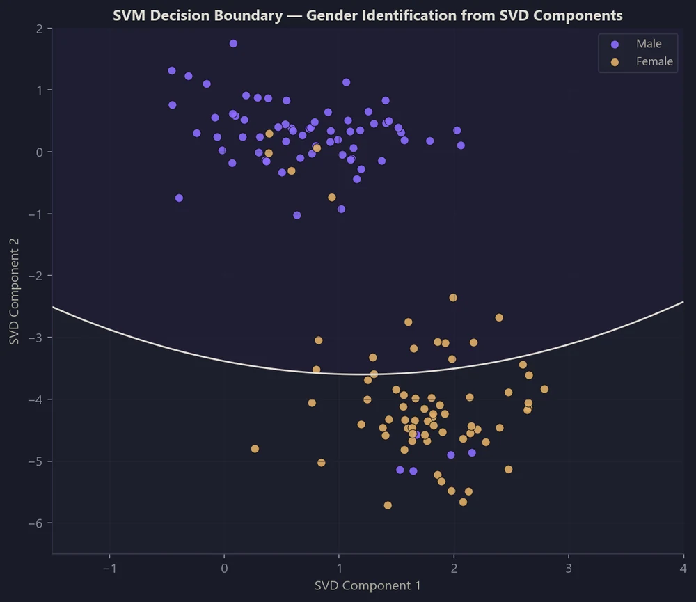 SVM decision boundary for gender identification from SVD components